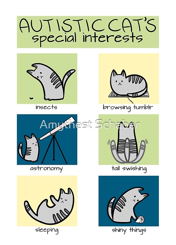 autistic-cat-s-special-interests-by-amythest-schaber-redbubble