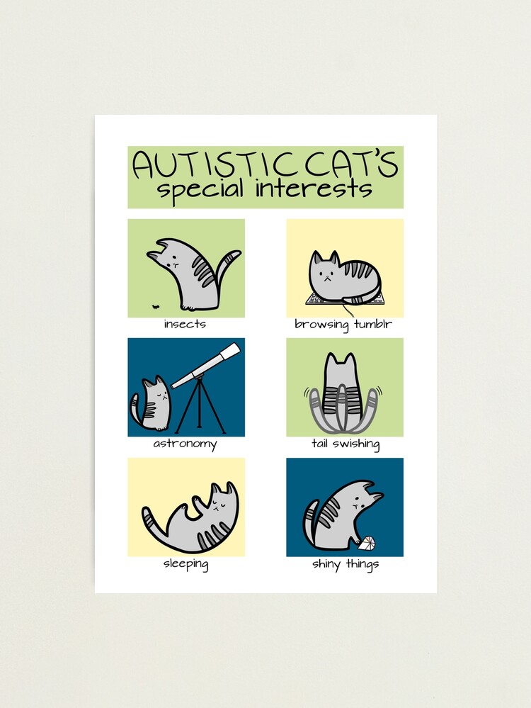 Autistic Cat Journal– The Autistic Innovator