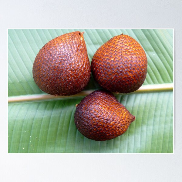 Item preview, Snake eggs:  best eaten raw................ designed and sold by supergold.