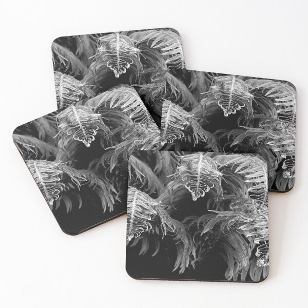 Item preview, GRACEFUL FERNS IN BLACK AND WHITE designed and sold by Elaine Bawden.