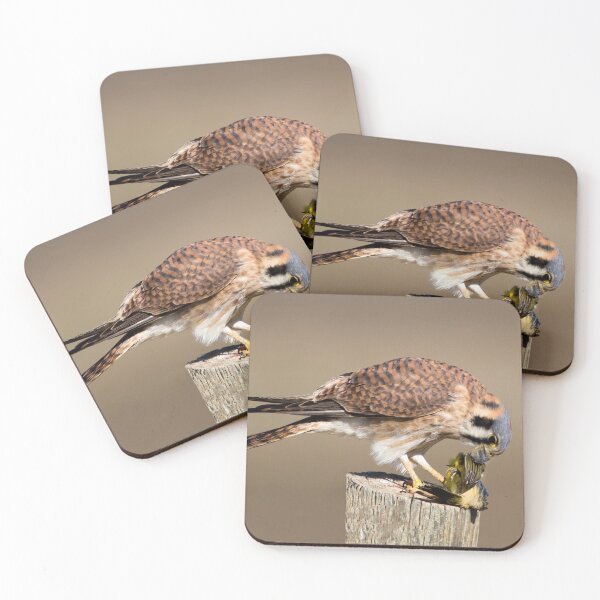 Item preview, Americal Kestral With Recent Catch designed and sold by CarolM.