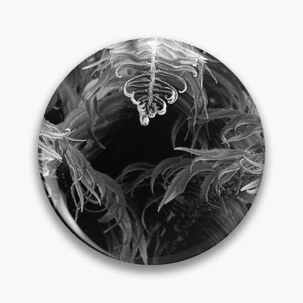 Item preview, GRACEFUL FERNS IN BLACK AND WHITE designed and sold by Elaine Bawden.