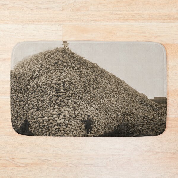 Item preview, American Bison Skulls Pile to be used for fertilizer (c 1870) designed and sold by allhistory.