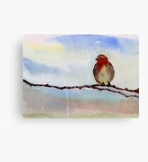 Robin 1 Canvas Print
