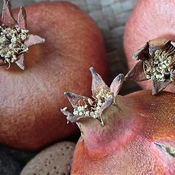 Artwork thumbnail, Pomegranates by Rafael López