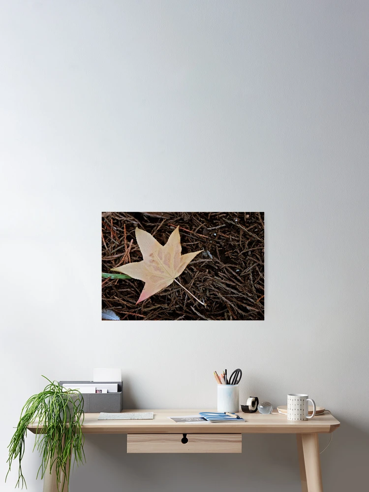 Thumbnail 2 of 3, Poster, Autumn leave designed and sold by Rafael López.