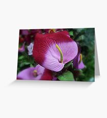 judging no one but myself... Greeting Card