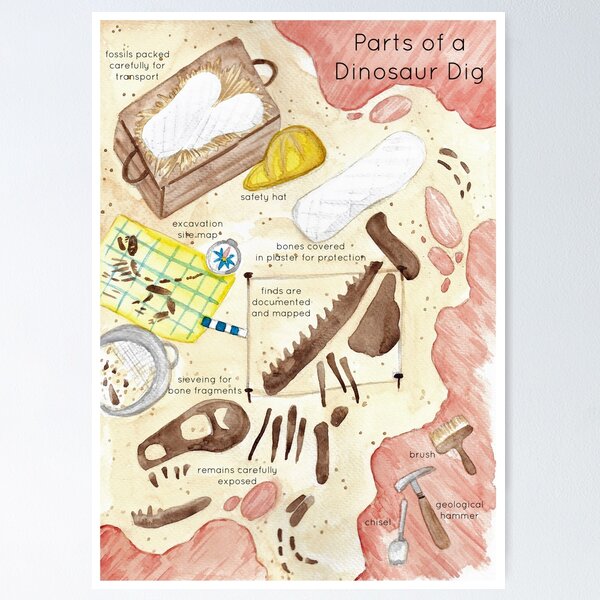 Dinosaur Dig Site Poster Poster