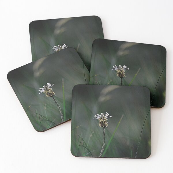 Item preview, Balancing on the edge designed and sold by Photography  by Mathilde.