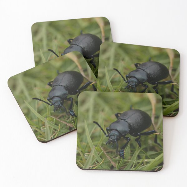 Item preview, Bloody Nosed Beetle designed and sold by Dan Newton.