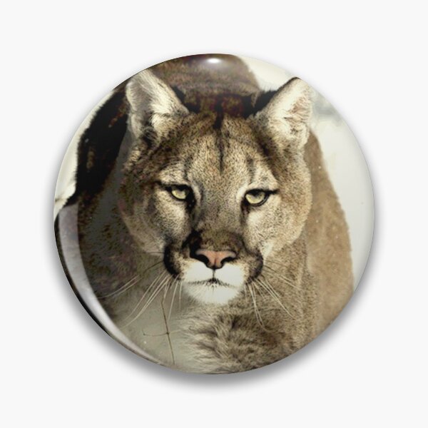 Artikelvorschau, PUMA entworfen und verkauft von Paparaw.