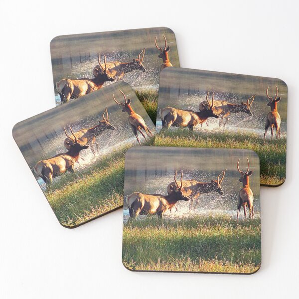 Item preview, All 3 Boyz designed and sold by Jan Landers.