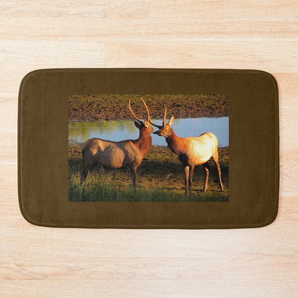 Item preview, 2 of the Boyz designed and sold by Jan Landers.