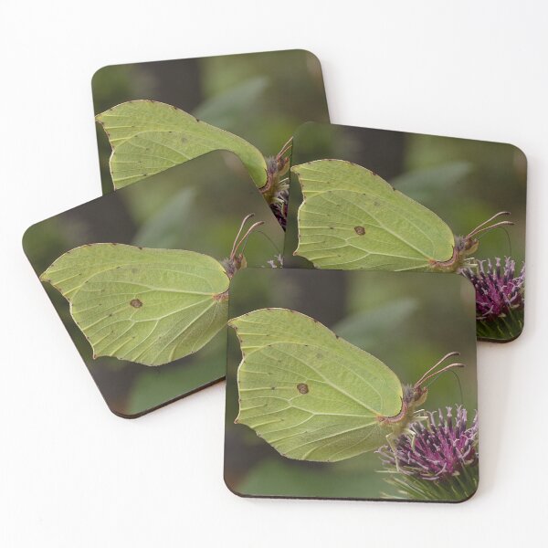 Item preview, Brimstone Butterfly in Summer designed and sold by Dan Newton.