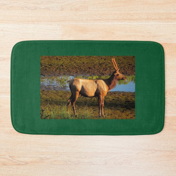 Item preview, 1 of the Boyz designed and sold by Jan Landers.