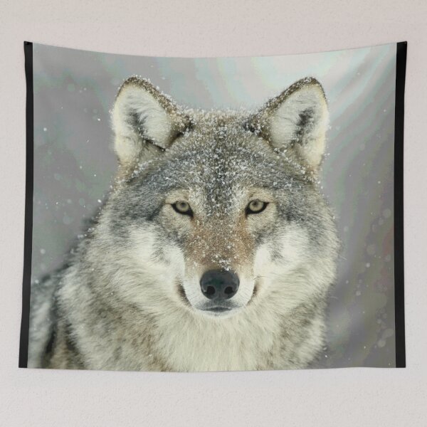 Item preview, GREY WOLF designed and sold by Paparaw.
