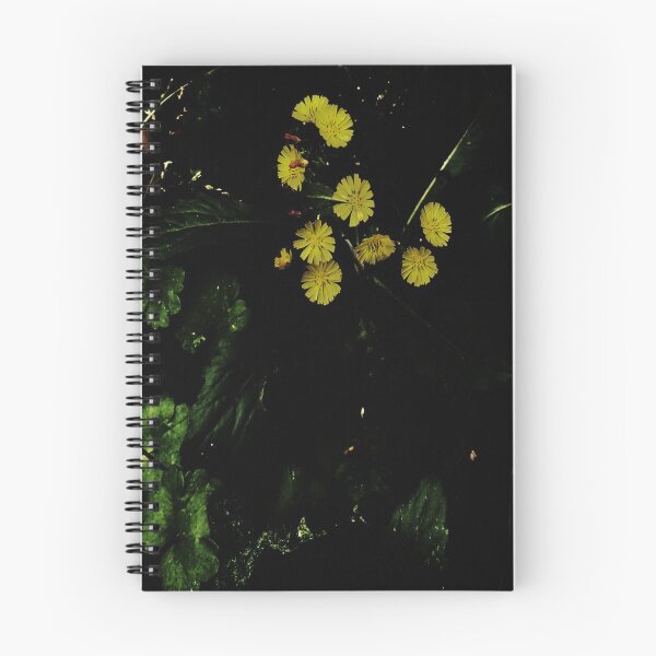 Item preview, Dandelions At Dusk v.3 designed and sold by Mark Polk.