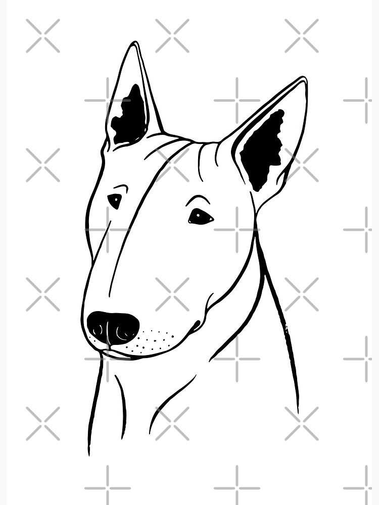 Lamina Rigida Bull Terrier Blanco Y Negro De Illucalliart Redbubble