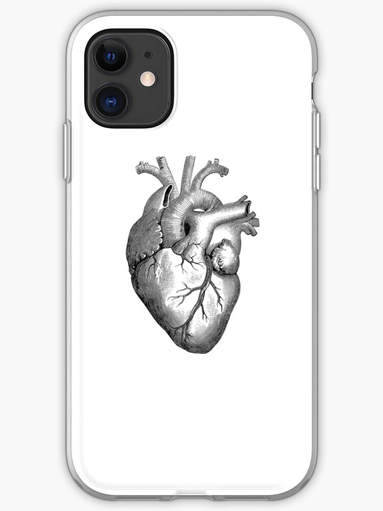 Anatomisches Herz Iphone Hulle Cover Von Chandlerlasch Redbubble