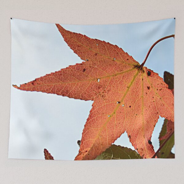Item preview, Autumn leaf designed and sold by dnparker.