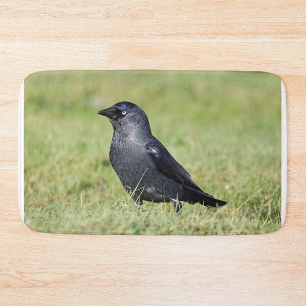 Item preview, Jackdaw with white spots designed and sold by GreyFeatherPhot.