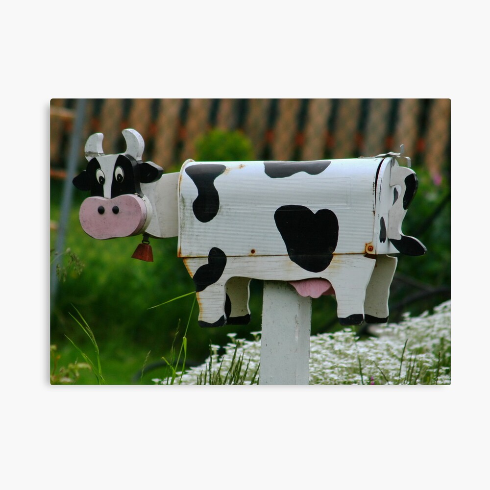 Poster Boite Aux Lettres De Vache Par Anndixon Redbubble