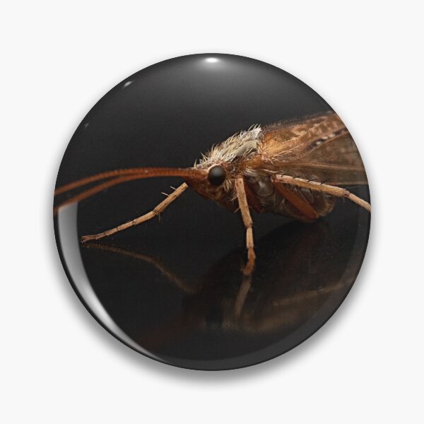 Item preview, Caddisfly Portrait designed and sold by Dan Newton.