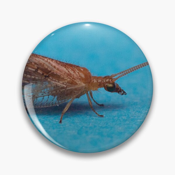Item preview, Brown Lacewing designed and sold by Dan Newton.