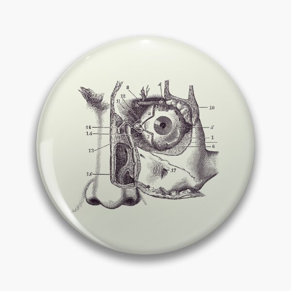 Item preview, Human Eye and Tear Duct Diagram - Vintage Anatomy 2 designed and sold by VAposters.