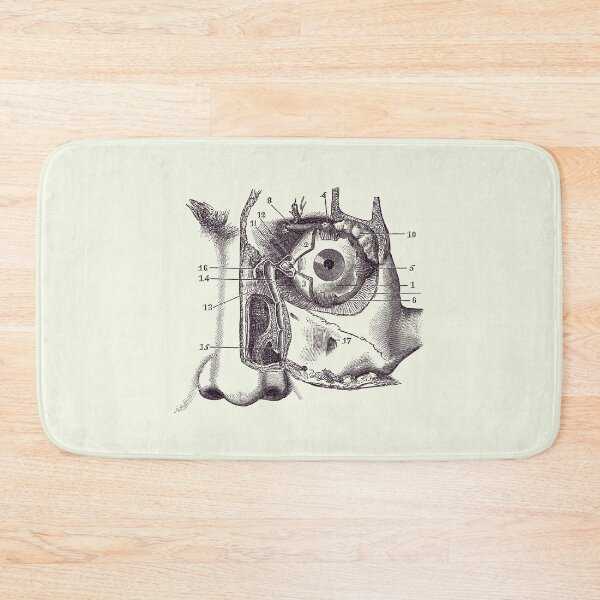 Item preview, Human Eye and Tear Duct Diagram - Vintage Anatomy 2 designed and sold by VAposters.