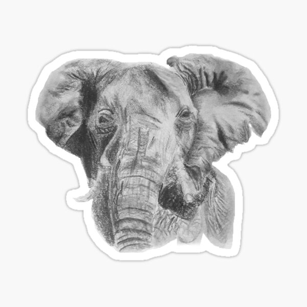 "A wise elephant" Sticker by AbbysArtz | Redbubble