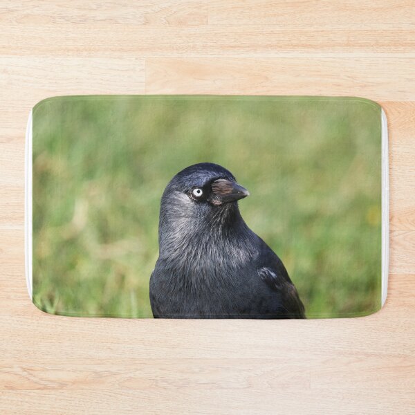 Item preview, Jackdaw designed and sold by GreyFeatherPhot.