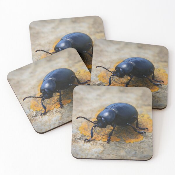 Item preview, Black Beetle designed and sold by MidnightHoots.