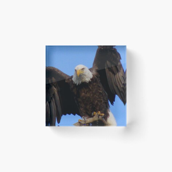 Item preview, Spread Your Wings designed and sold by Jan Landers.