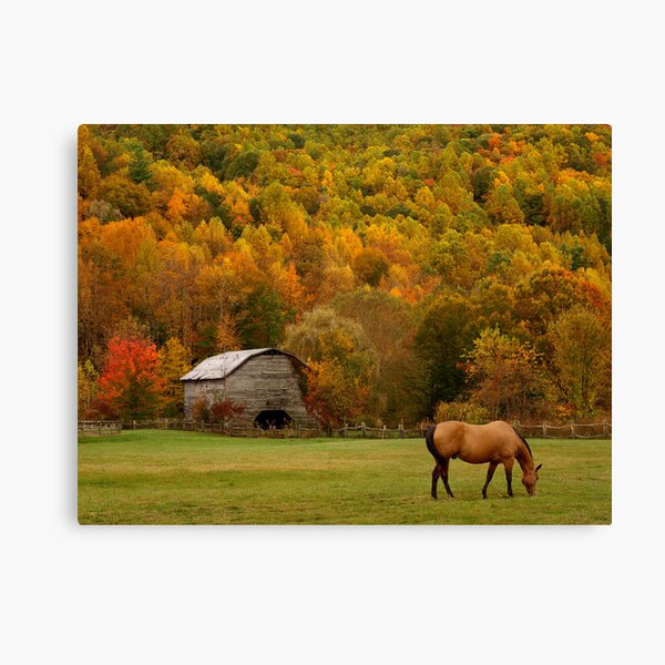 Autumn Graze Canvas Print