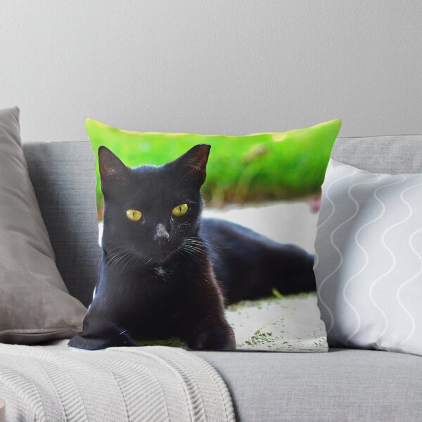 Artikelvorschau, Die posierende Katze entworfen und verkauft von LUISPENA.