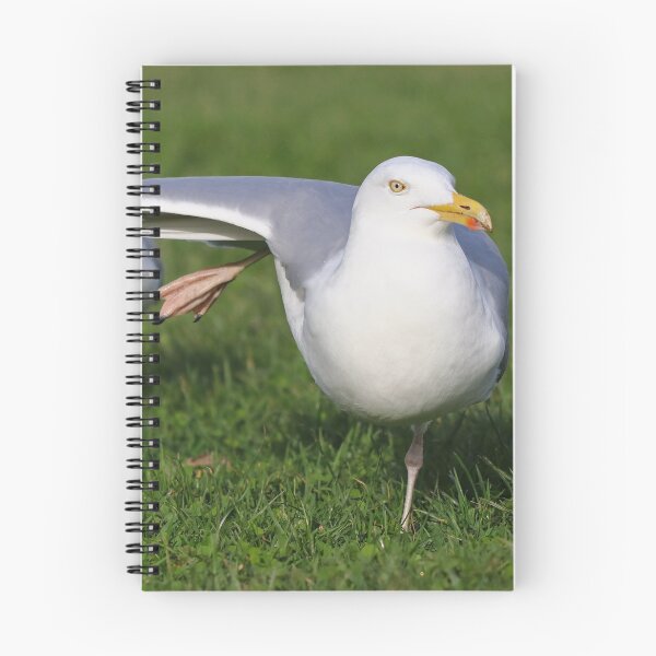 Item preview, Gull yoga designed and sold by GreyFeatherPhot.
