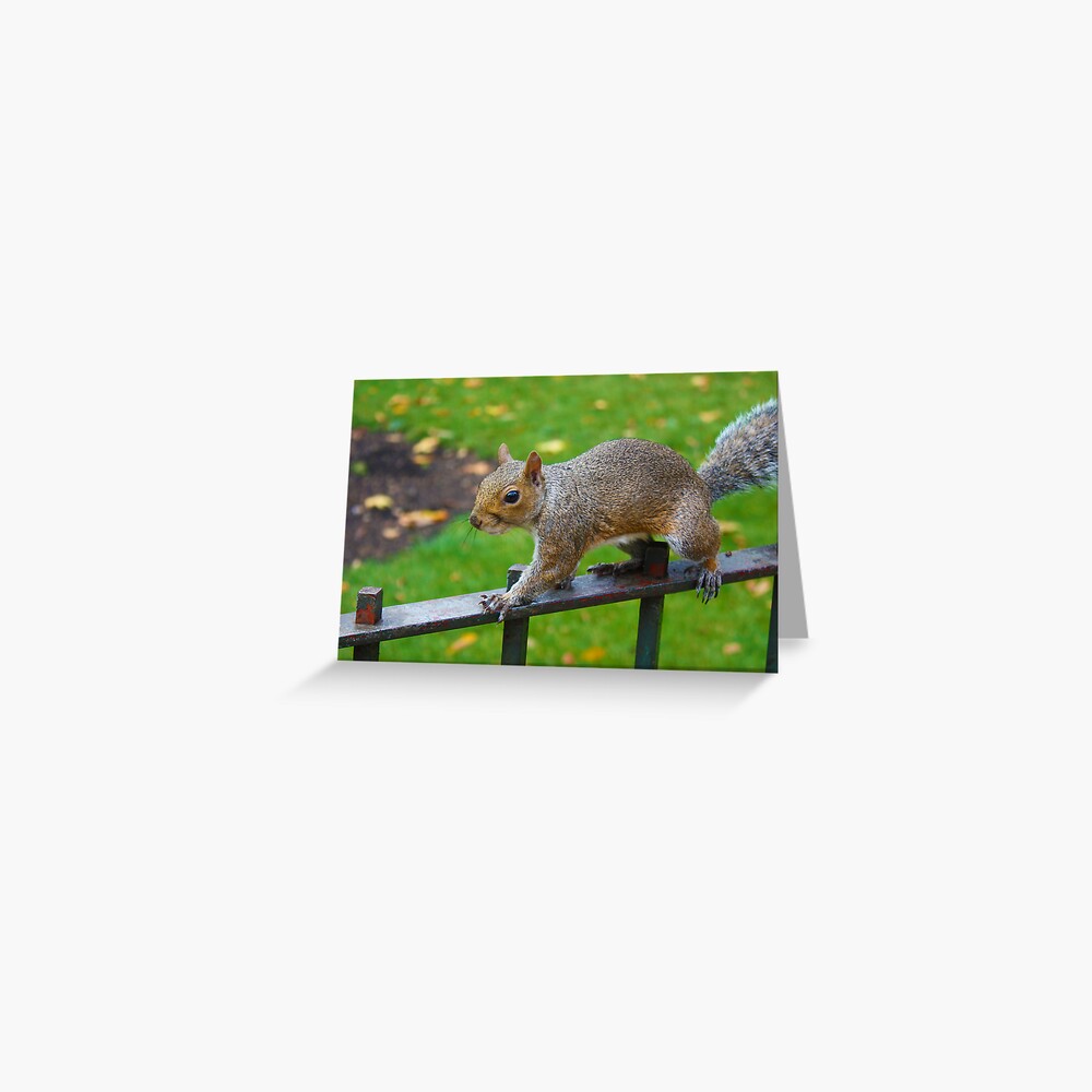 Item preview, Greeting Card designed and sold by JazzK.
