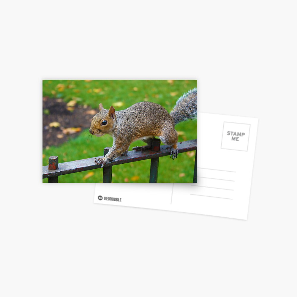 Item preview, Postcard designed and sold by JazzK.