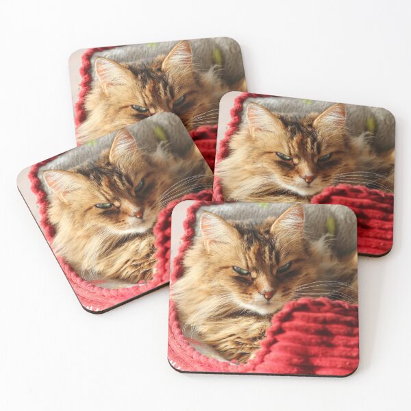 Item preview, Golden cat designed and sold by GreyFeatherPhot.
