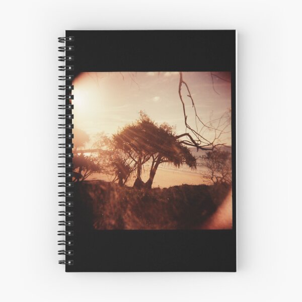 Item preview, Pandanus Sunset designed and sold by mewalsh.