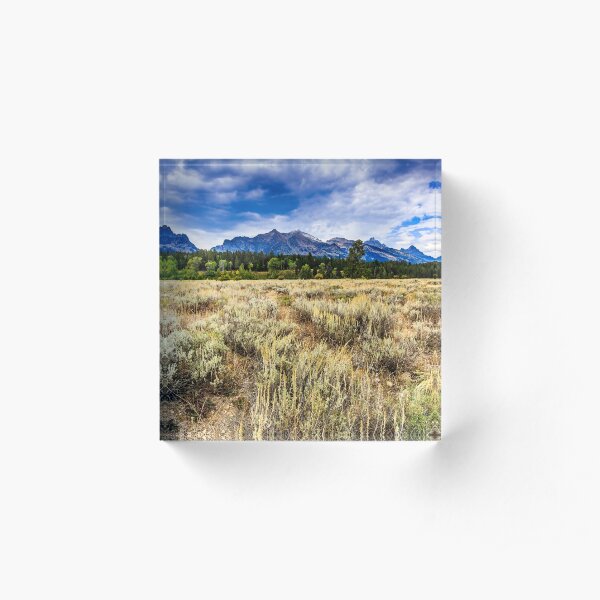 Jackson Hole Meadow Acrylic Block