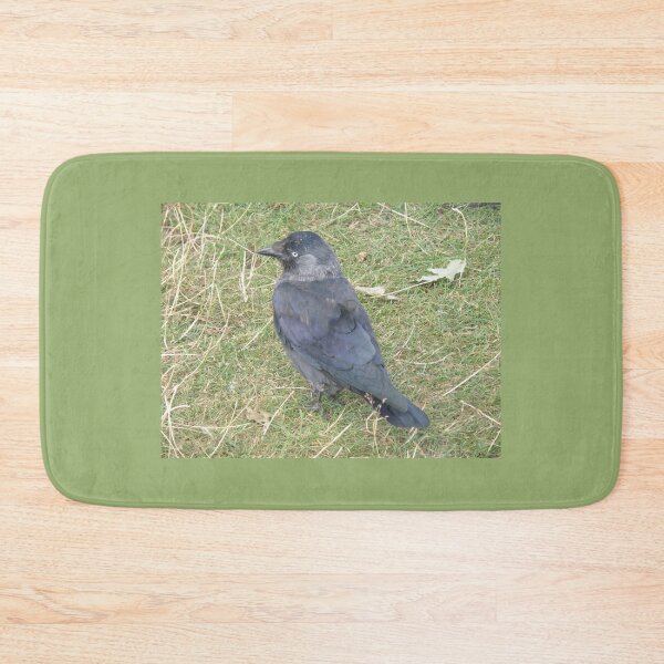 Item preview, Western Jackdaw with a Beady Eye Photograph designed and sold by naturegallery.