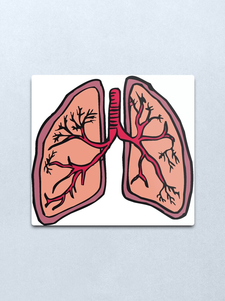 The Respiratory System Cartoon