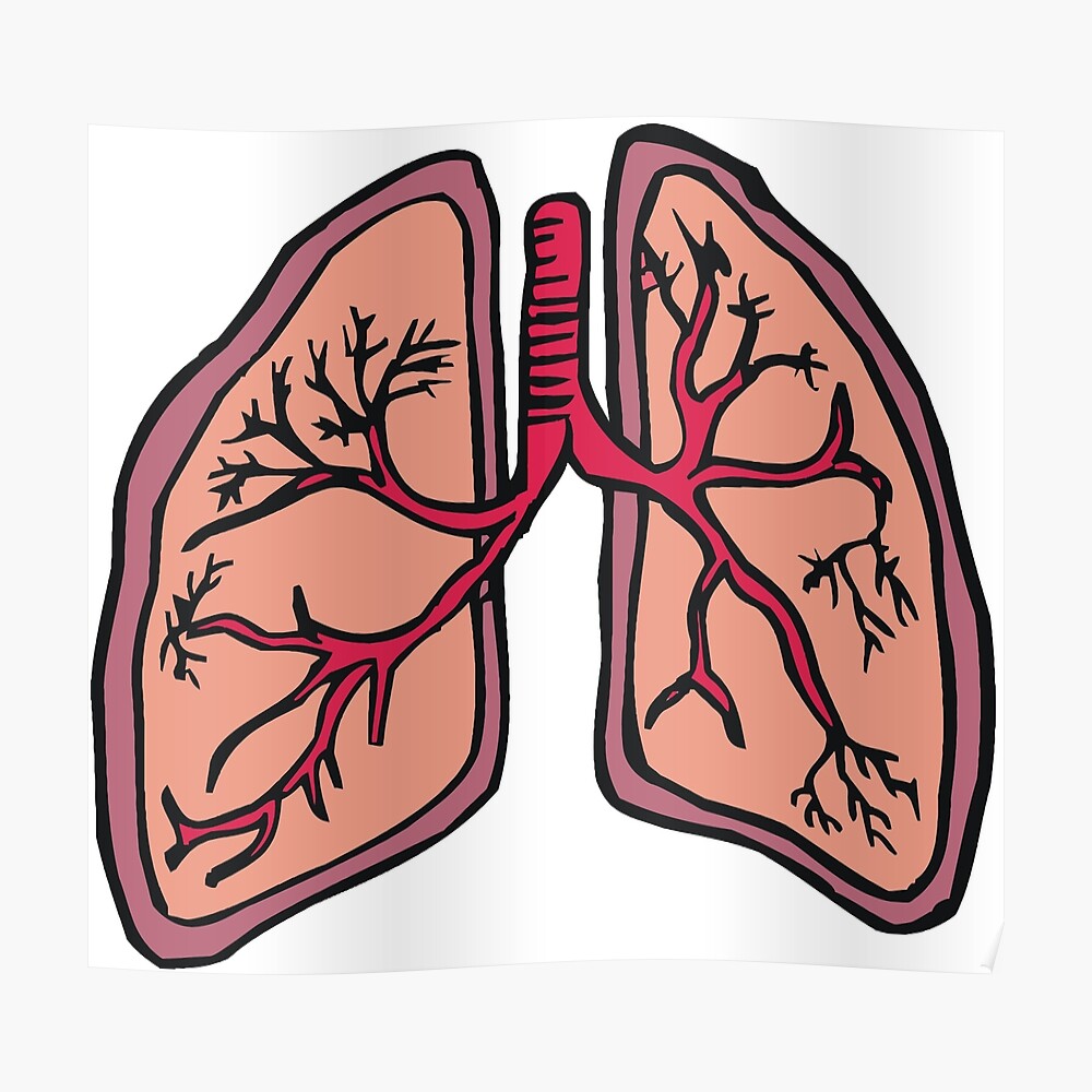 Funny cartoon lungs - Respiratory system