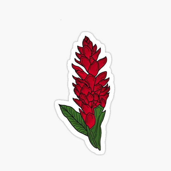Teuila Red Ginger Flower Sticker
