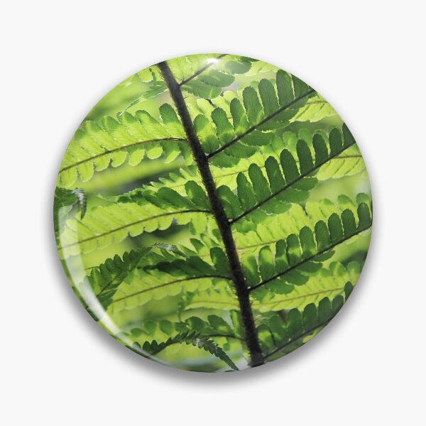 Item preview, Sunlight weaving through fern fronds designed and sold by WesternExposure.
