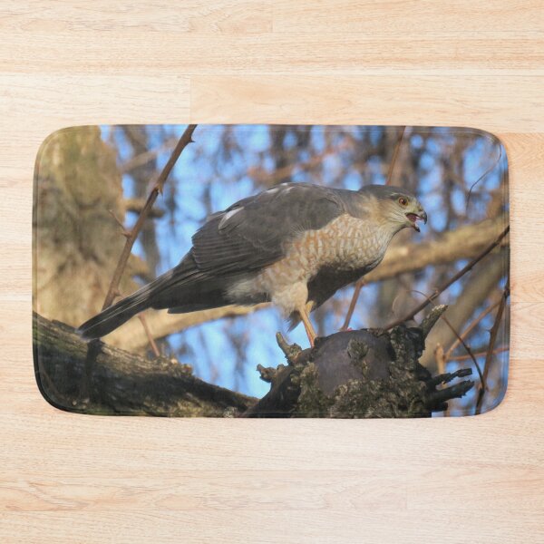 Item preview, Cooper's Hawk (Accipiter cooperii) designed and sold by LJSparvero.