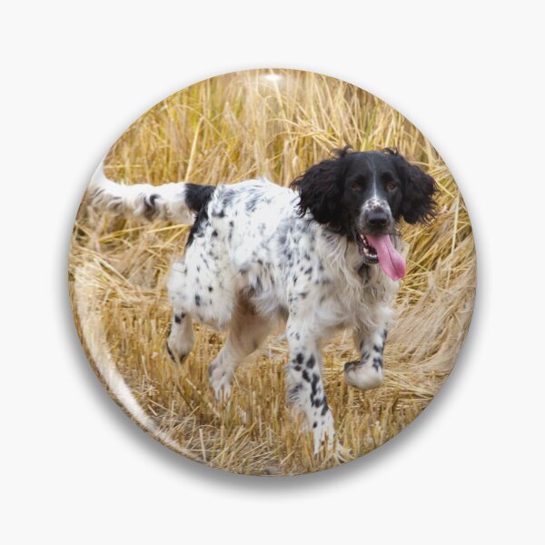 Item preview, Gundog - Aran - Large Munsterlander. If you would like to see your dog on these products get in touch and I will happily look at doing that for you. All you need is a good quality photo. designed and sold by Latch Farm  Studios.