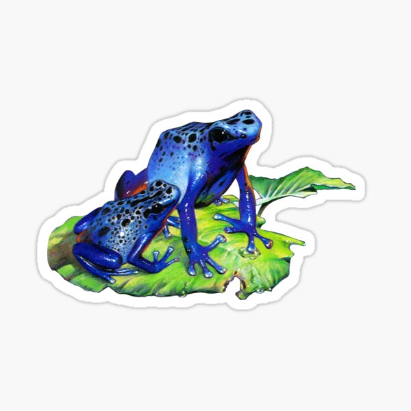 Item preview, Blue Poison Dart Frogs designed and sold by Salmoneggs.